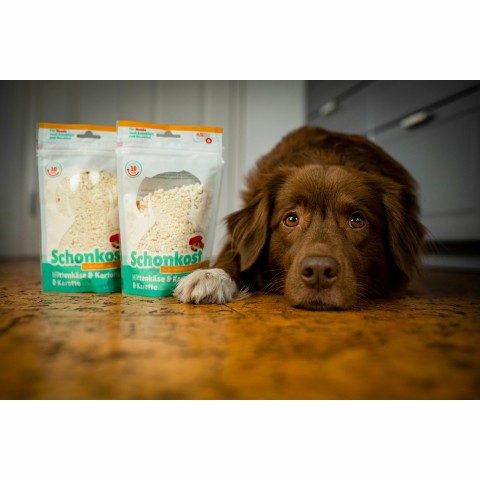 Dog Accessories Wet pet food Bland diet (Dog) 100g 1 Piece -4- Anifit