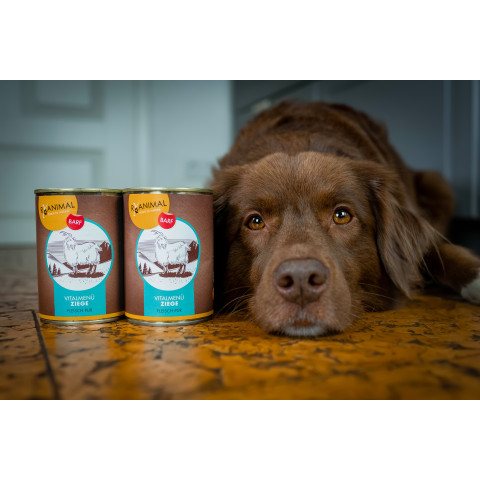 Cat Dog Accessories B.A.R.F. RyAnimal Pure Goat 400g 6 Piece -6- Anifit